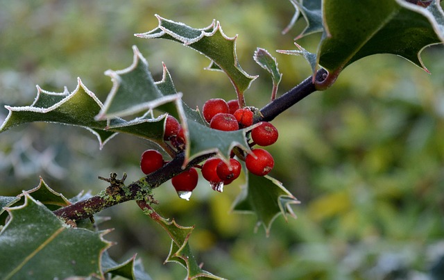 Tím Ilex AS pri príprave vzdelávacích materiálov v neutrálnej učebni